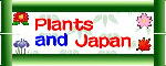 Plants & Japan