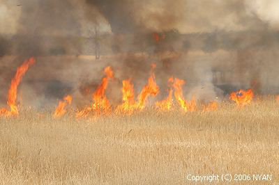 Burning off a field