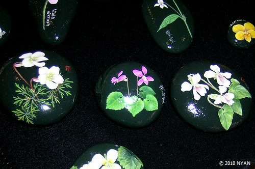 2010/03/30 すみれの植物石画