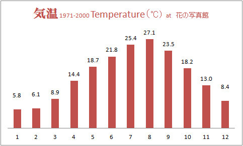 気温グラフ