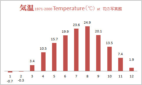 気温グラフ