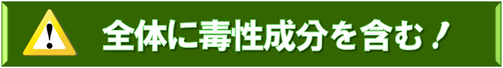 注意：全体に毒性成分を含む！
