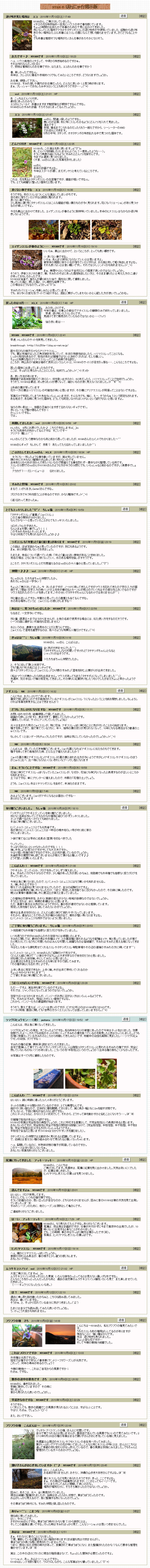2010N10 7