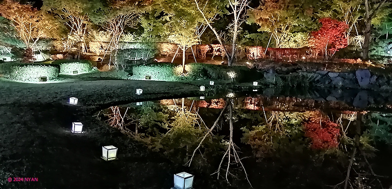 ƣζ
