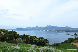 縶