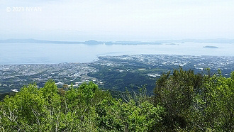 縶