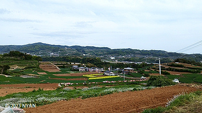 縶
