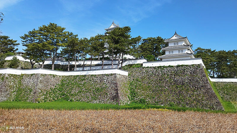 縶