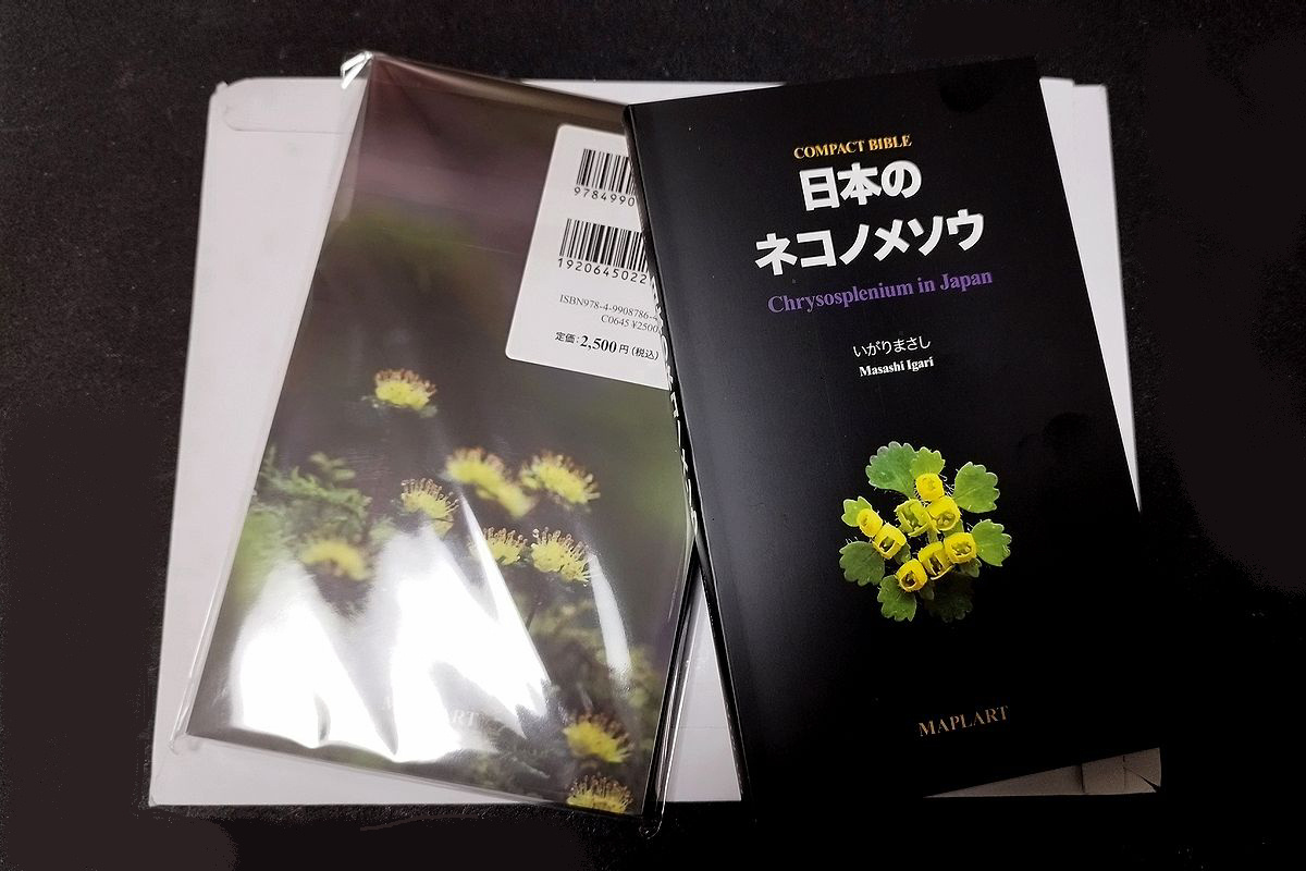 ネコノメソウ属（猫の目草属、ユキノシタ科）