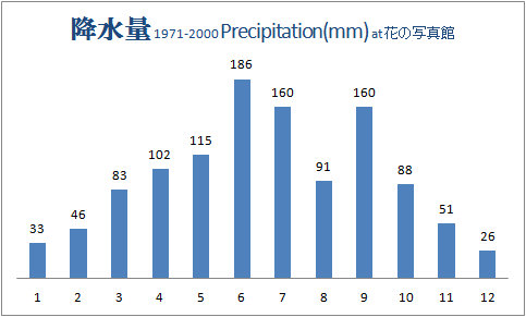 降水量グラフ