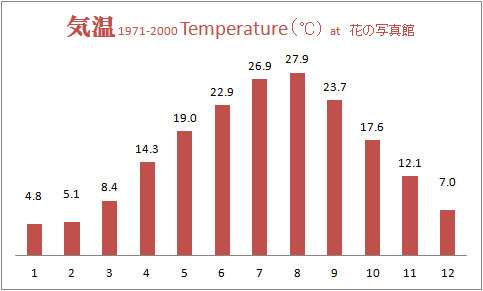 気温グラフ
