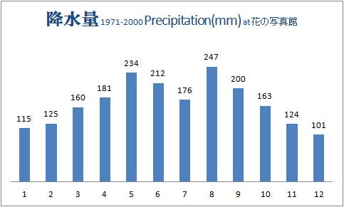 降水量グラフ