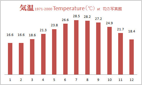 気温グラフ