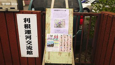 イベント情報 （利根運河のスミレ展）