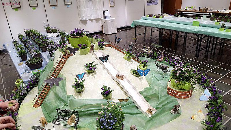 イベント情報 （すみれ展・神代植物公園）