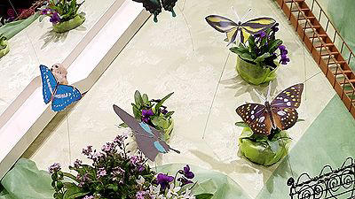 イベント情報 （すみれ展・神代植物公園）