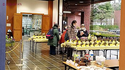 イベント情報 （すみれ展・神代植物公園）