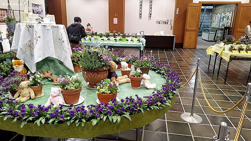 イベント情報 （すみれ展・神代植物公園）