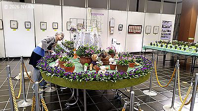 イベント情報 （すみれ展・神代植物公園）