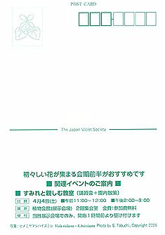 すみれ展（日本すみれ研究会）