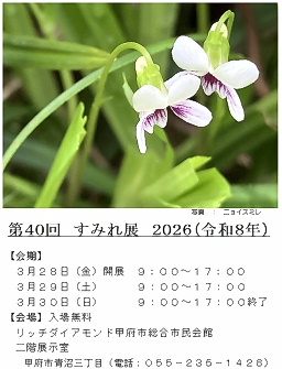 すみれ展（山梨スミレの会）