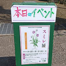 イベント情報 （すみれ展 東京 世田谷）