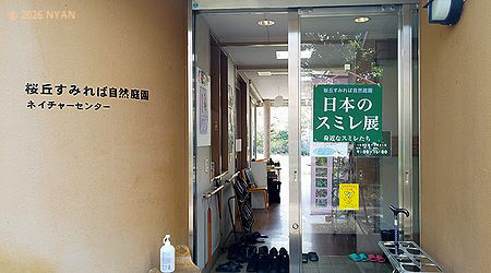 イベント情報 （すみれ展 東京 世田谷）